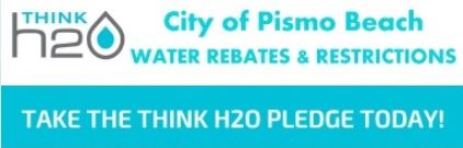 WEbsite Button Think H20 2